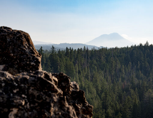 South Sister: Through the Pines